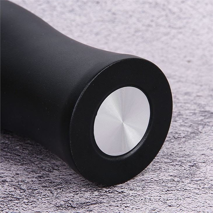 Stainless Steel Bottle